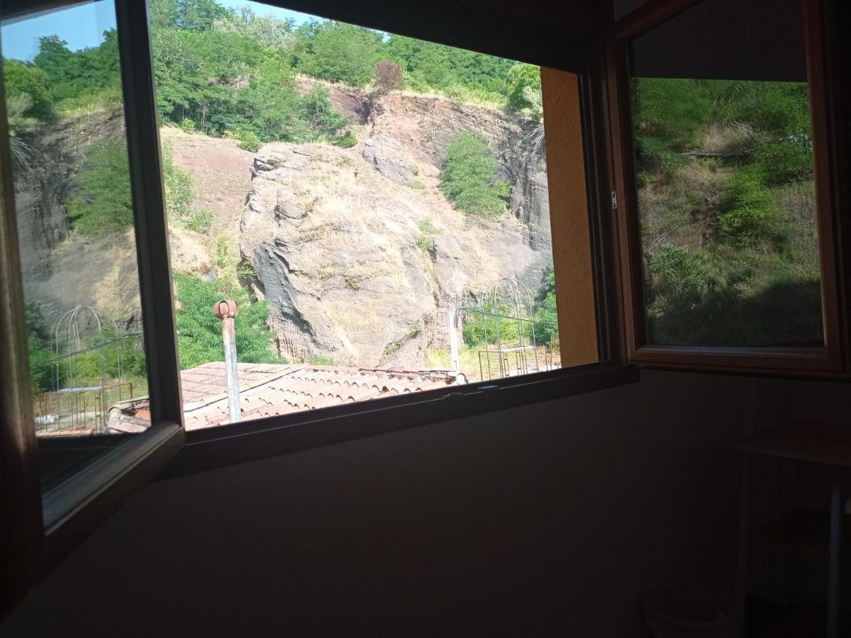 Allotjament Buixeda Olot Dış mekan fotoğraf